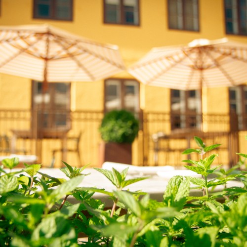 Michelin-starred restaurants
